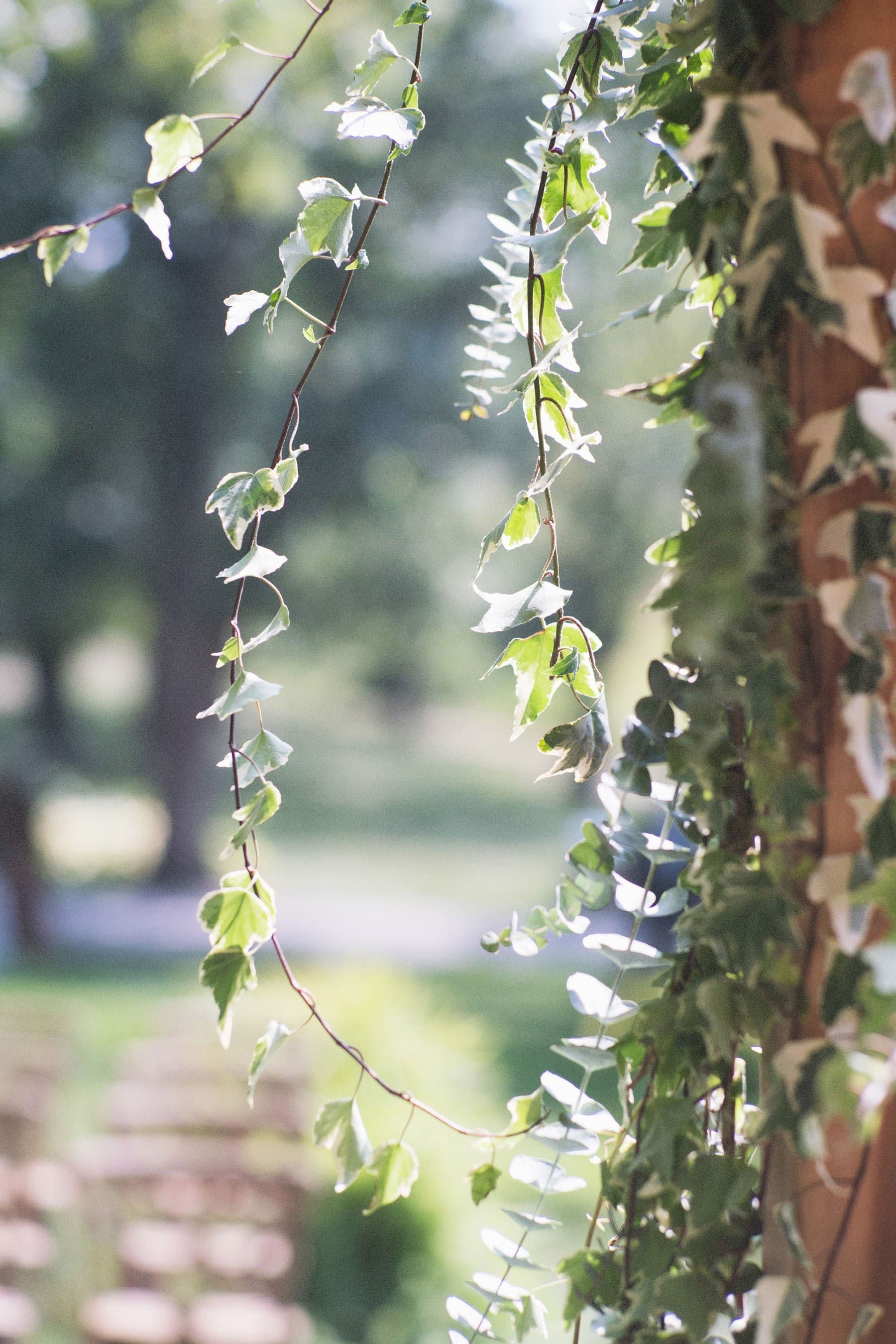A Farm outside Mount Vernon wedding